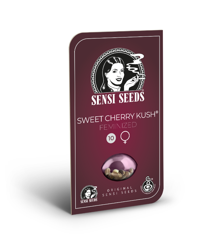 Immagine di Semi di Sweet Cherry Kush Femminizzati