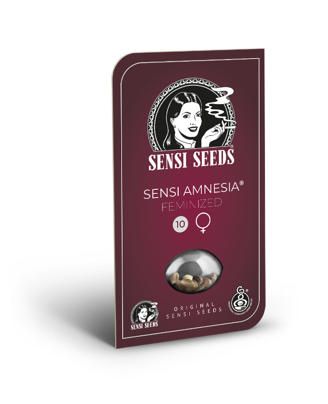 Picture of Sensi Amnesia Feminized Seeds