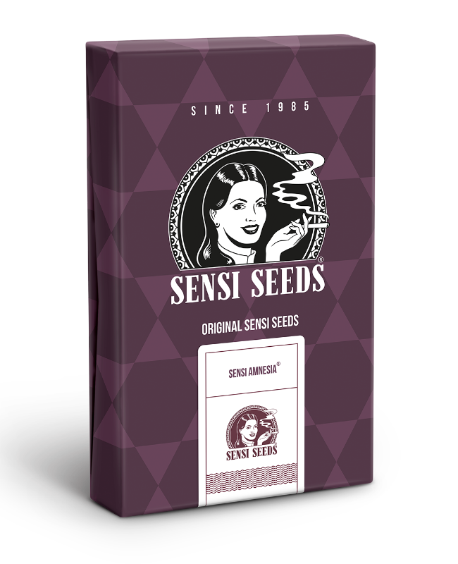 Picture of Sensi Amnesia Feminized Seeds