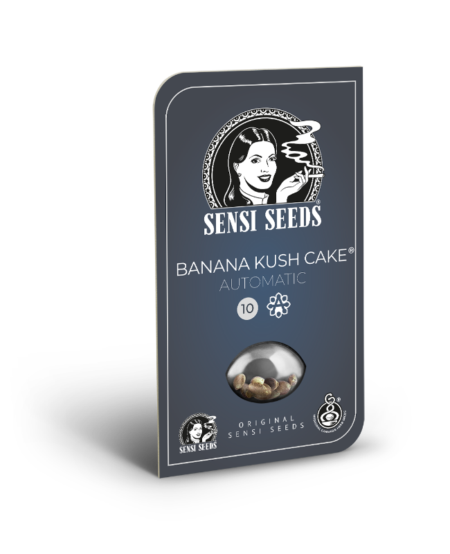 Immagine di Semi di Banana Kush Cake Autofiorenti