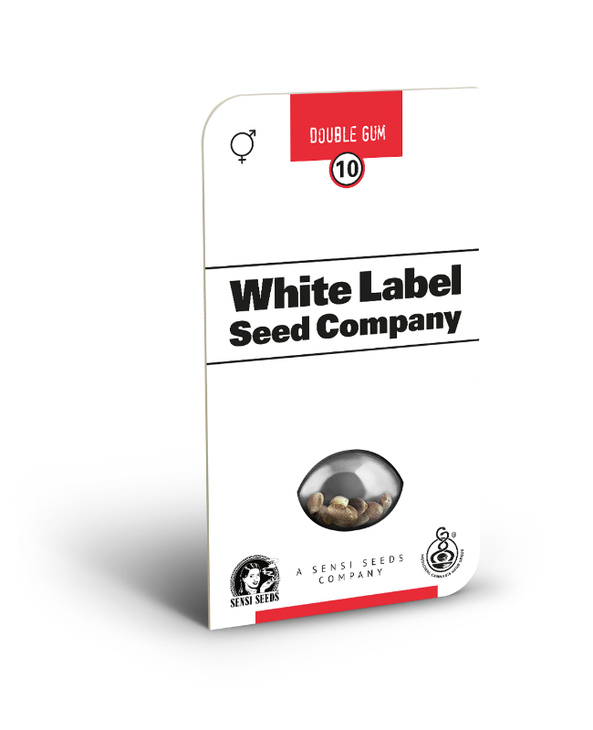 Picture of Double Gum Regular Seeds by White Label