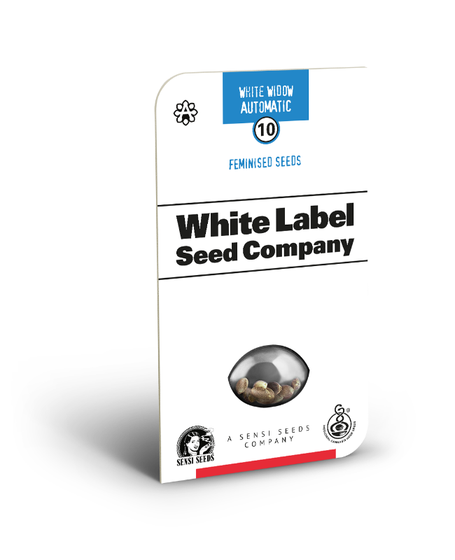 Picture of White Widow Automatic Seeds by White Label