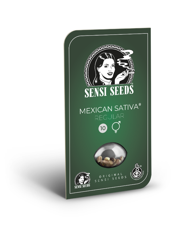 Picture of Mexican Sativa Regular Seeds