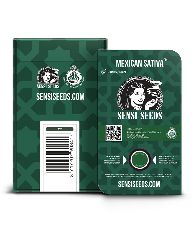 Picture of Mexican Sativa Regular Seeds