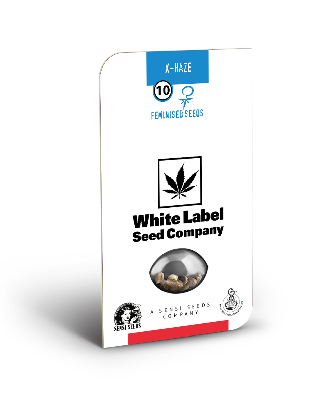 Picture of X Haze Feminized Seeds by White Label