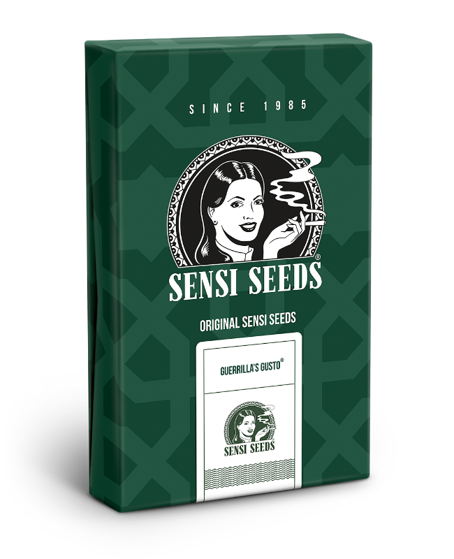 Picture of Guerrilla's Gusto Regular Seeds