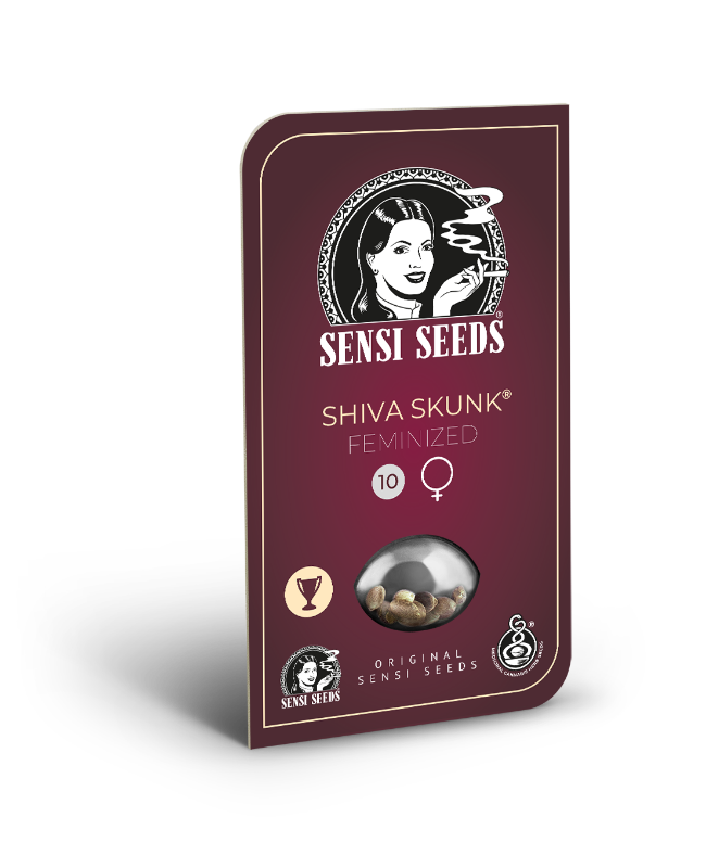 Picture of Shiva Skunk Feminized Seeds