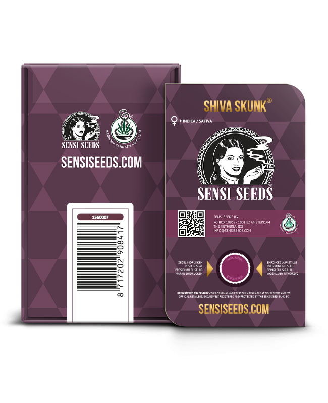 Picture of Shiva Skunk Feminized Seeds