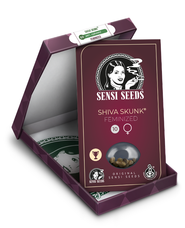 Picture of Shiva Skunk Feminized Seeds