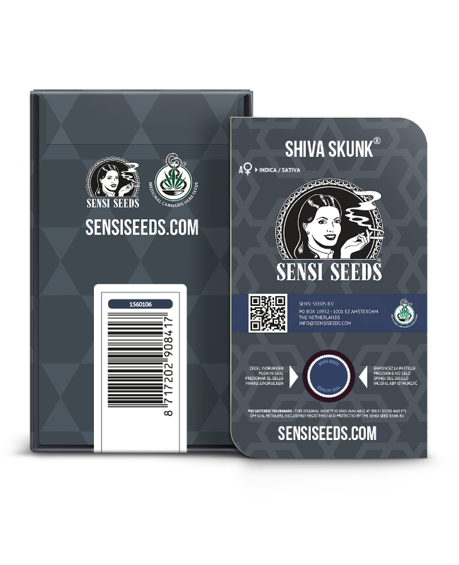 Picture of Shiva Skunk Automatic Seeds