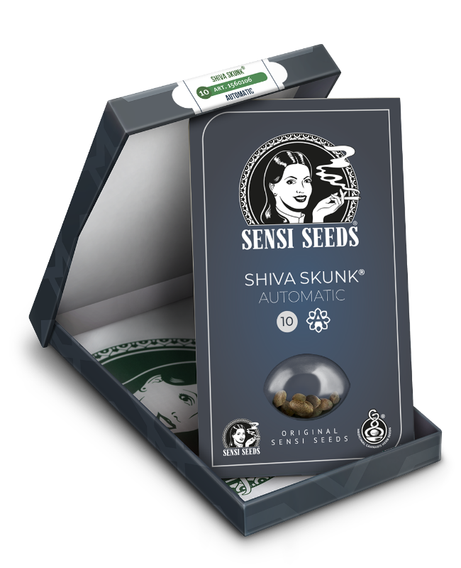 Picture of Shiva Skunk Automatic Seeds