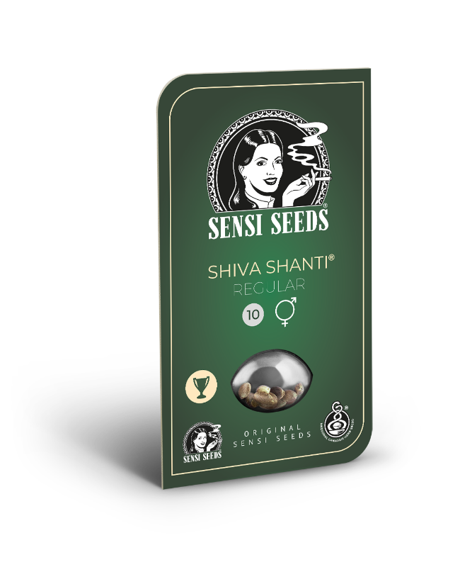 Picture of Shiva Shanti Regular Seeds