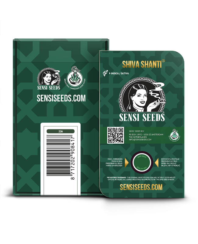 Picture of Shiva Shanti Regular Seeds