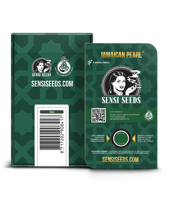 Picture of Jamaican Pearl Regular Seeds