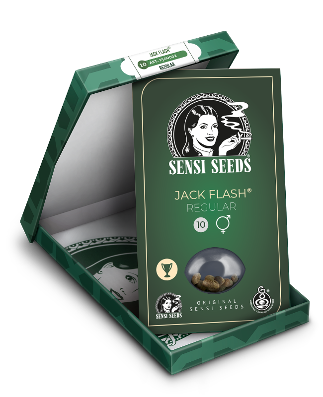 Imagen de Semillas de Jack Flash Regulares