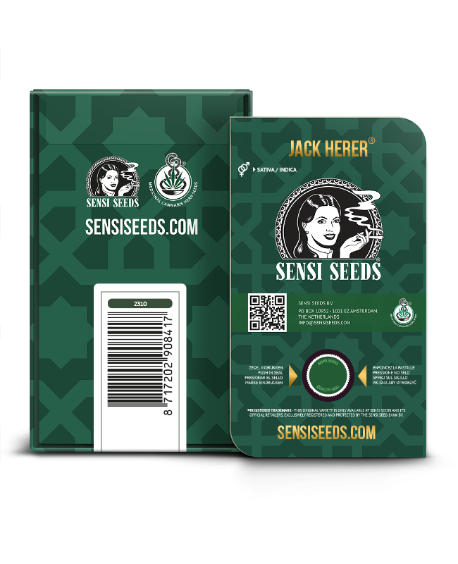 Picture of Jack Herer® Regular Seeds