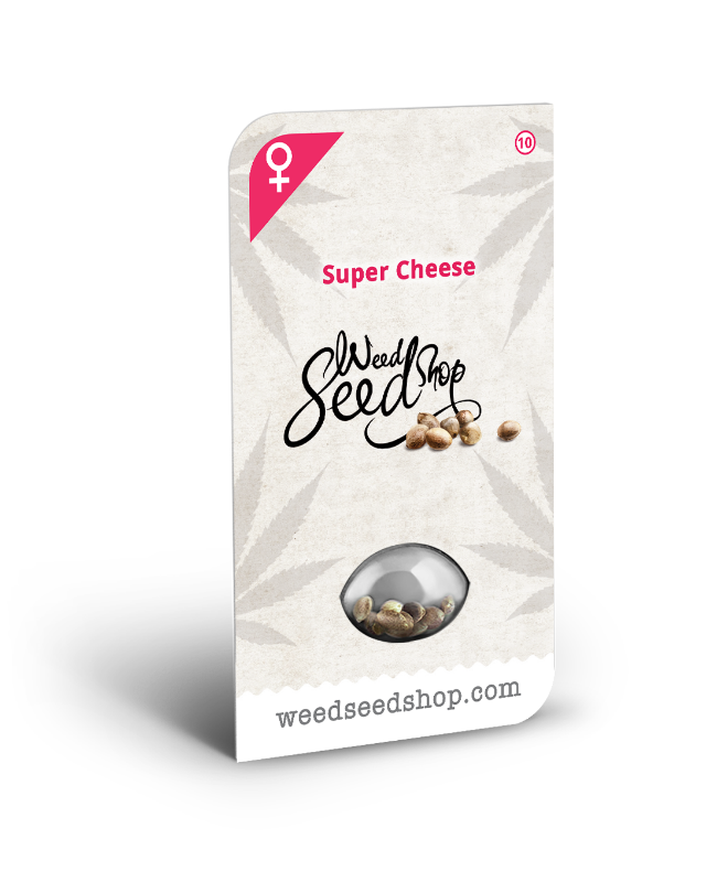 Image de Graines de Super Cheese Féminisées