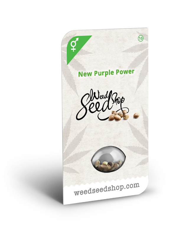 Imagen de Semillas de New Purple Power Regulares