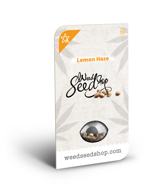 Picture of Lemon Haze Automatic Seeds